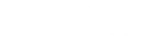 DegreeSight Logo White